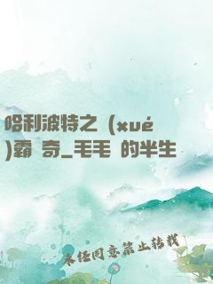 哈利波特之學(xué)霸傳奇