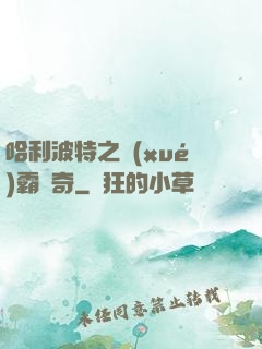 哈利波特之學(xué)霸傳奇