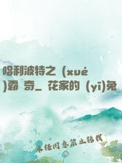 哈利波特之學(xué)霸傳奇