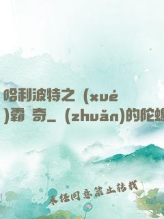 哈利波特之學(xué)霸傳奇