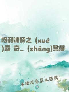 哈利波特之學(xué)霸傳奇