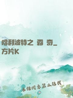 哈利波特之學霸傳奇