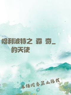 哈利波特之學霸傳奇