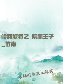 哈利波特之獅院黑王子