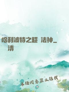 哈利波特之超級法神