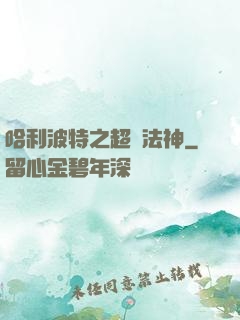 哈利波特之超級法神