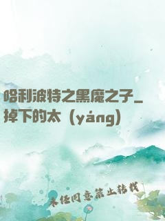 哈利波特之黑魔之子