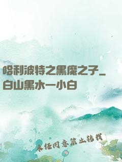哈利波特之黑魔之子