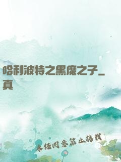 哈利波特之黑魔之子
