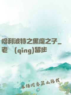 哈利波特之黑魔之子