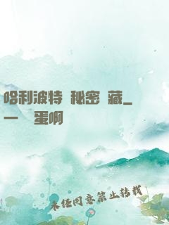 哈利波特與秘密寶藏