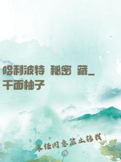 哈利波特與秘密寶藏