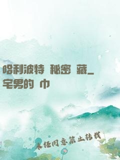 哈利波特與秘密寶藏