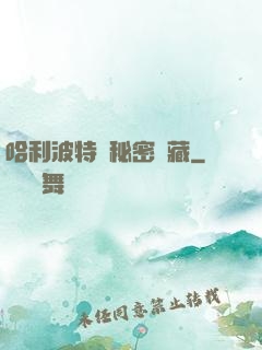 哈利波特與秘密寶藏