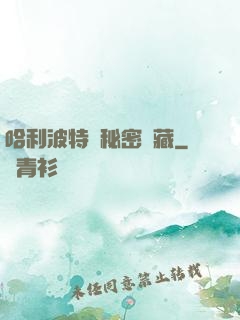 哈利波特與秘密寶藏