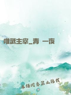 唯武主宰