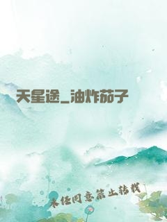 問天星途