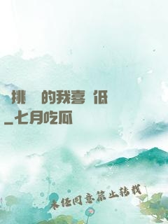 單挑艦隊的我喜歡低調
