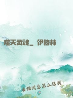 噬天武魂