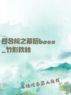 四合院之幕后boss