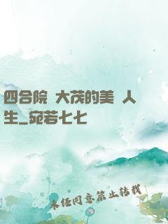 四合院許大茂的美麗人生