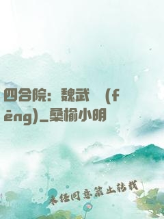 四合院：魏武遺風(fēng)