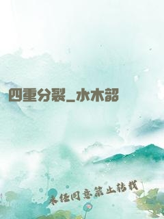 四重分裂