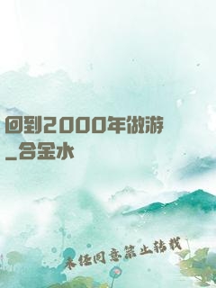 回到2000年做游戲
