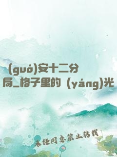 國(guó)安十二分局