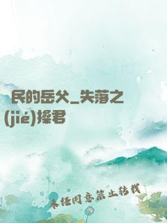 國民的岳父