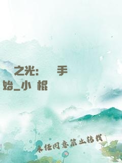 國產之光：從賣手機開始