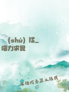 國術(shù)兇猛