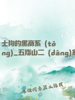 土狗的黑商系統(tǒng)