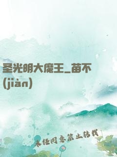 圣光明大魔王