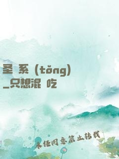 圣劍系統(tǒng)
