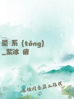 圣劍系統(tǒng)