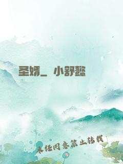 圣婿