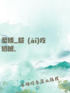圣婿