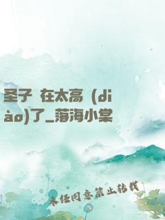 圣子實在太高調(diào)了