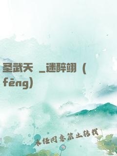 圣武天驕