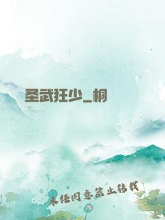 圣武狂少