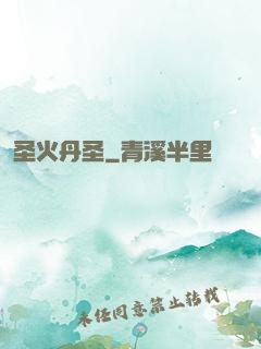 圣火丹圣