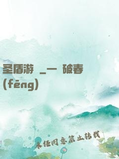 圣盾游戲
