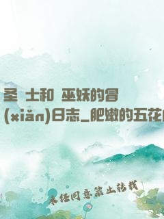 圣騎士和瘋巫妖的冒險(xiǎn)日志