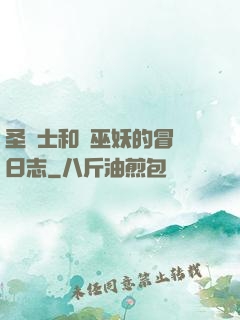圣騎士和瘋巫妖的冒險日志