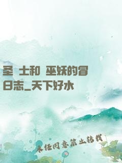 圣騎士和瘋巫妖的冒險日志