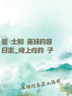 圣騎士和瘋巫妖的冒險日志