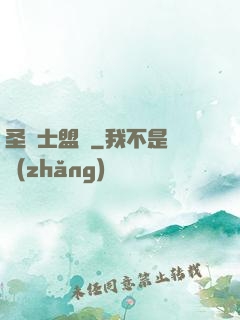 圣騎士盟約