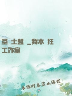 圣騎士盟約