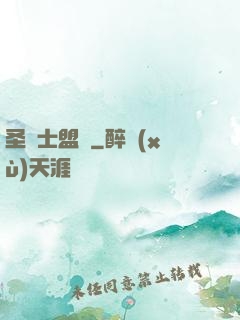 圣騎士盟約